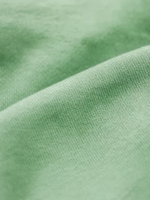 GOKU Printed Oversized Cotton T-Shirt – Mint Green | Anime Streetwear Collection